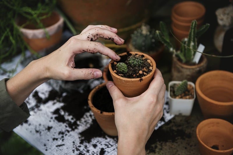 Gardening Community