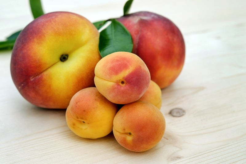 Peach Trees